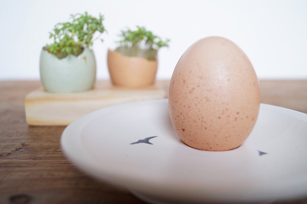 Loopkeramik - Keramik aus Erfurt